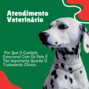 Atendimento Veterinário Em Itapetininga: Por Que O Cuidado Emocional Com Os Pets É Tão Importante Quanto O Tratamento Clínico
