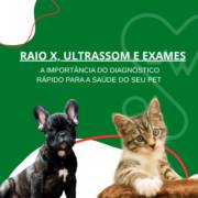 Raio X, Ultrassom e Exames em Itapetininga: A Importância do Diagnóstico Rápido para a Saúde do Seu Pet