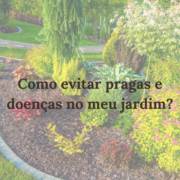 Como evitar pragas e doenças no meu jardim?