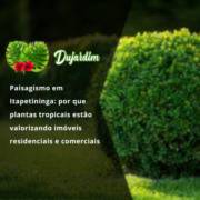 Paisagismo em Itapetininga: por que plantas tropicais estão valorizando imóveis residenciais e comerciais