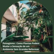 Paisagismo em Itapetininga: Como Plantas Podem Mudar a Sensação de um Ambiente Sem Grandes Reformas