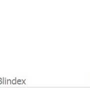 IDENTIFIQUE O ORIGINAL BLINDEX