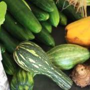 Fórum de Agroecologia do Baixo Tietê acontece no dia 04 de setembro no Sesc Birigui