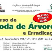 Vagas abertas para a última turma de 2019 do Curso de Poda Erradicação de Árvores em Birigui