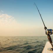 Pesca Esportiva em Avaré: lazer, natureza e experiências inesquecíveis