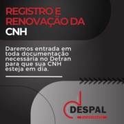 Registro e Renovação da CNH