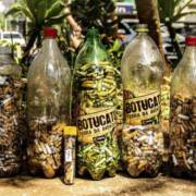 Primeira ação do Cuesta limpa coleta bitucas para reciclagem