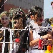 Já preparou a fantasia de carnaval? Temos uma opção