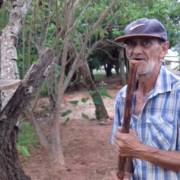 Agricultor combate escorpiões criando galinhas em área pública