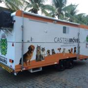 Prefeitura de Bauru abre cadastro para o Castramóvel.