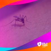Prefeitura inicia novo ciclo de nebulização e convida a população para participar no combate à dengue.