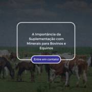 A Importância da Suplementação com Minerais para Bovinos e Equinos
