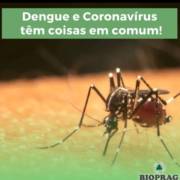 Dengue e Coronavirus têm muita coisa em comum!