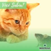 Você sabia?