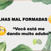 Folhas mal formadas