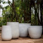 SAIBA COMO ESCOLHER O VASO ADEQUADO PARA SUA PLANTA!
