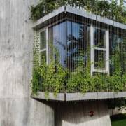 Já ouviu falar sobre brise vegetal?