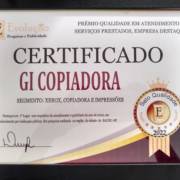 Certificado de Destaque pela Evolução Pesquisa e Publicidade