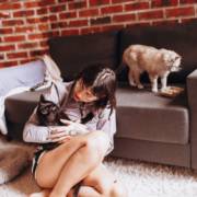 Cuidados com o pet no pós-operatório