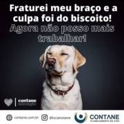 Você sabia que brincar com seu pet de estimação pode ocasionar em um afastamento do seu trabalho