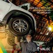 REVISÃO DO VEÍCULO