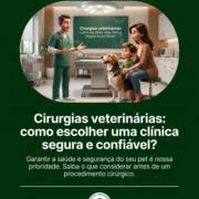 Cirurgias veterinárias: como escolher uma clínica segura e confiável?
