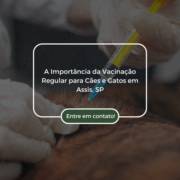 A Importância da Vacinação Regular para Cães e Gatos em Assis, SP