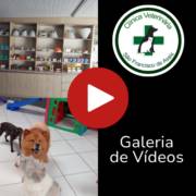 Galeria de Vídeos