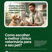 Como escolher a melhor clínica veterinária para o seu pet?