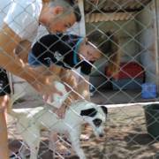 Trote Solidário da Unimar tem dia de carinho e cuidado em ONGs de proteção animal