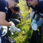 Saiba como colaborar com o combate do mosquito da dengue em Marília