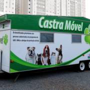 Castramóvel começa a funcionar em abril, segundo prefeitura