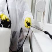 Contrate o serviço de dedetização de empresa para tornar o ambiente seguro