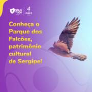 Conheça o Parque dos Falcões, patrimônio cultural de Sergipe!
