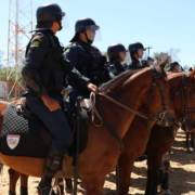 No dia da cavalaria, conheça o pelotão da nossa PMSE