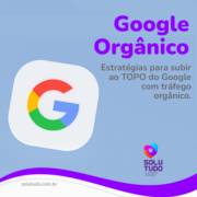 Google Orgânico