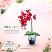 Dica: presente para aquela pessoa especial é na Botucatu Garden