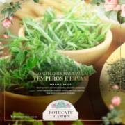 Temperos e Ervas Aromáticas