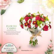 [Flor do campo]