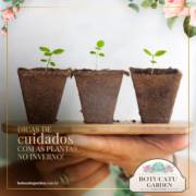 Cuidados com as Plantas no Inverno
