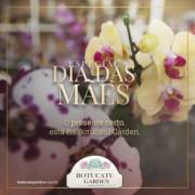 ESPECIAL DIA DAS MÃES NA BOTUCATU GARDEN!!!