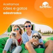 Aceitamos cães e gatos adestrados