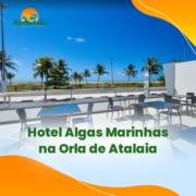 Hotel algas marinhas na Orla de Atalaia