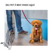 Seu Pet e bem vindo aqui