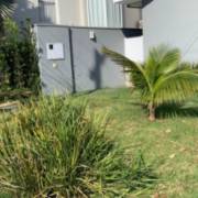 6 dicas para conservação e cuidados em áreas verdes