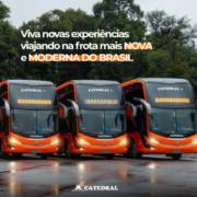 Viva novas experiências viajando na frota mais nova e moderna do Brasil
