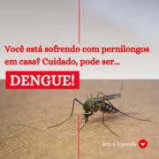 Você sabe a diferença entre o pernilongo e o mosquito da dengue