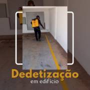 Dedetização em edifício