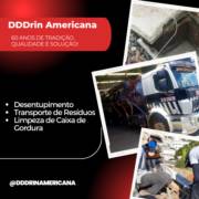 DDDrin Americana - Empresa de alta performance no controle de pragas urbanas