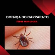 Febre Maculosa: O que é, sintomas, tratamentos e causas